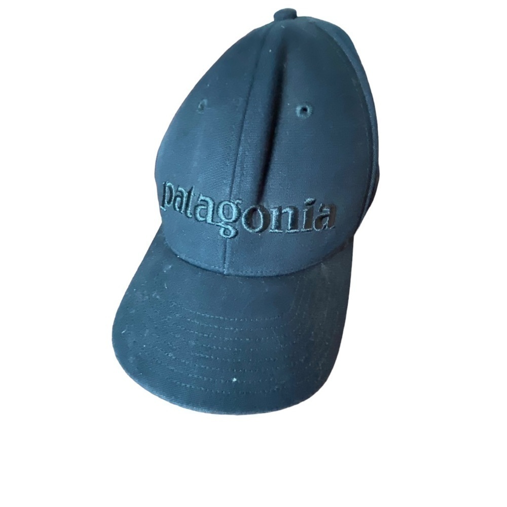Patagonia Men's Black Snapback Hat O/S